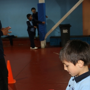 Día de la Actividad Física